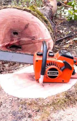 Echo CS-302 Chainsaw Price