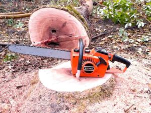 Echo CS-302 Chainsaw Price