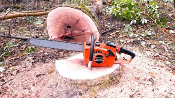 Echo CS-302 Chainsaw Price