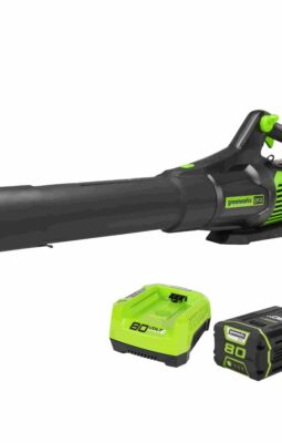 Greenworks 2424402VT Cordless Blower