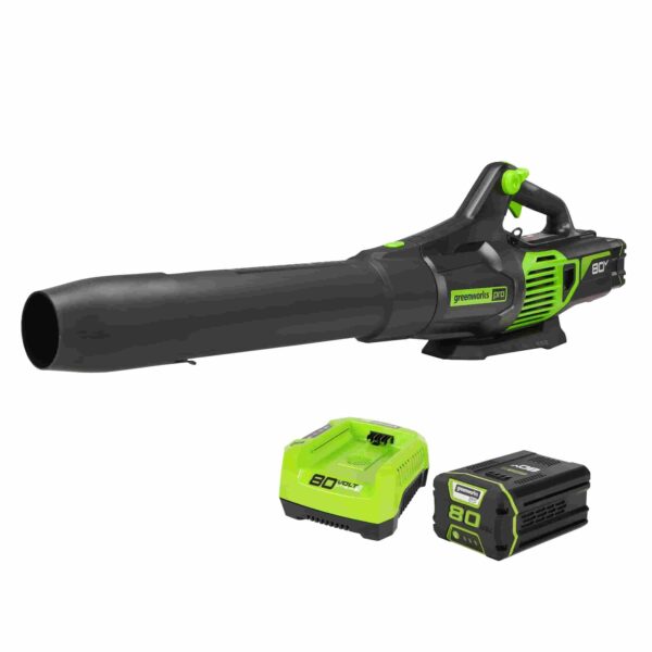 Greenworks 2424402VT Cordless Blower