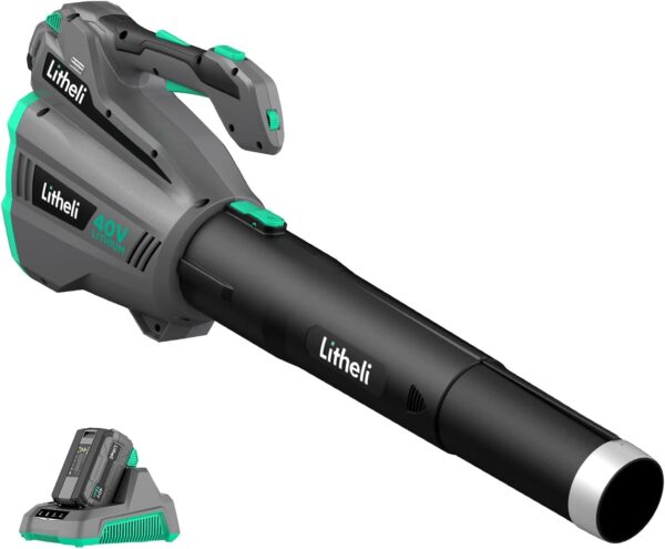 Litheli Cordless Leaf Blower 40V, 480 CFM Battery Leaf Blowers for Lawn Care, with Brushless Motor, Axial Blower for Blowing Leaf, Dust, Snow, Debris, with 2.5Ah Battery & Charger Included, Black, Price For Sale