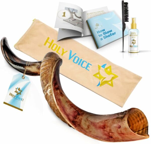 Kosher Kudu Shofar Horn from Israel – Traditional Half-Polished Yemeni Shofar Includes Carrying Bag, Brush and Blowing Guide - Holy Voice Easy Blowing Ancient Musical Instrument (41"-42") - For Sale - Price