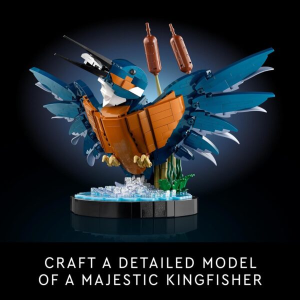 LEGO Icons Kingfisher Model Building Kit - Collectible, Detailed Building Blocks Sets for Adults, 18+ - Relaxing DIY Craft for Bird Lovers - Gift for Him and Her - 10331 - For Sale - Price - Image 3