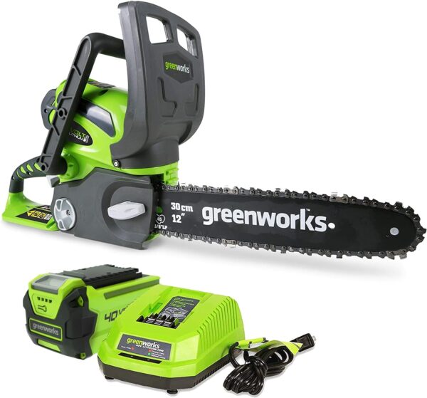 Greenworks 40V 12" Cordless Compact Chainsaw (Great For Storm Clean-Up, Pruning, and Camping), 2.0Ah Battery and Charger Included - For Sale - Price