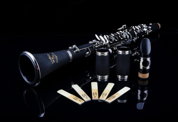 Glory GLY-PBK Professional Ebonite Bb Clarinet with 10 Reeds, Stand, Hard Case, Cleaning Cloth, Cork Grease, Mouthpiece Brush and Pad Brush, Black - For Sale - Price - Image 8