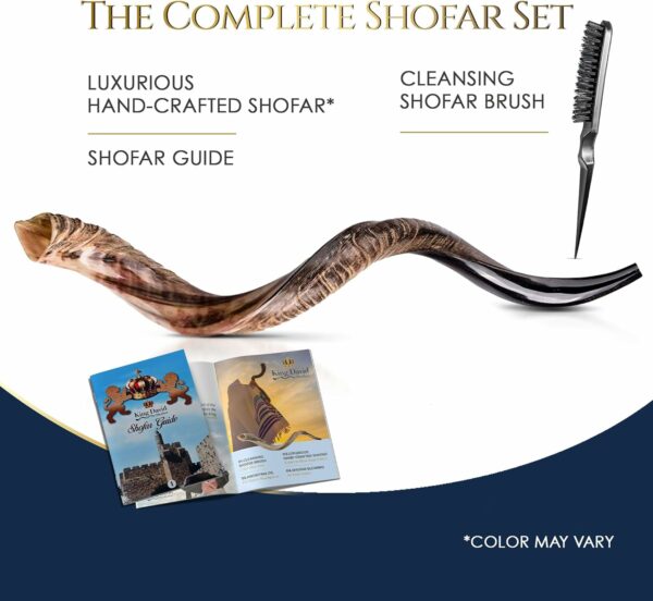 Kosher Jewish Kudu Blowing Horn Instrument Shofar from Israel - Kudu Shofar Angels Musical Instrument – Half Polished/Natural (Full Set, 35"-37" - XL) - For Sale - Price - Image 6