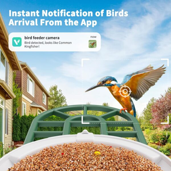 Bird Feeder with Camera with AI Identify Bird Species Solar Panel, Smart Bird House with Cam, Live View, Instant Arrival Alerts, Capture Bird Video, Bird Lover Watching Birds - For Sale - Price - Image 7