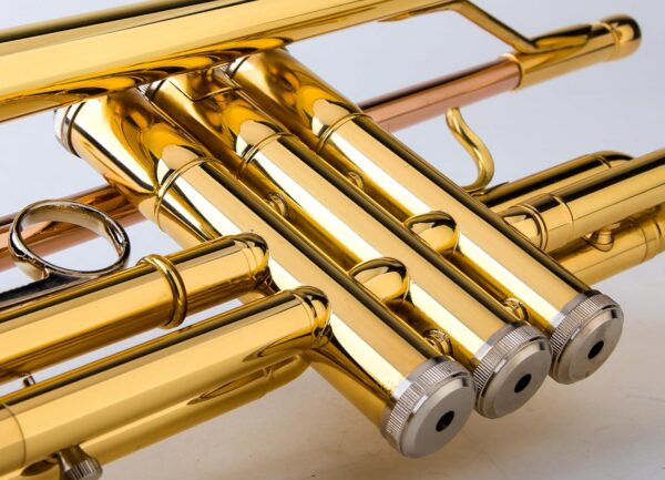 Glory Bb Trumpet - Trumpets for Beginner or Advanced Student with Case, pair of gloves-Gold - For Sale - Price - Image 6