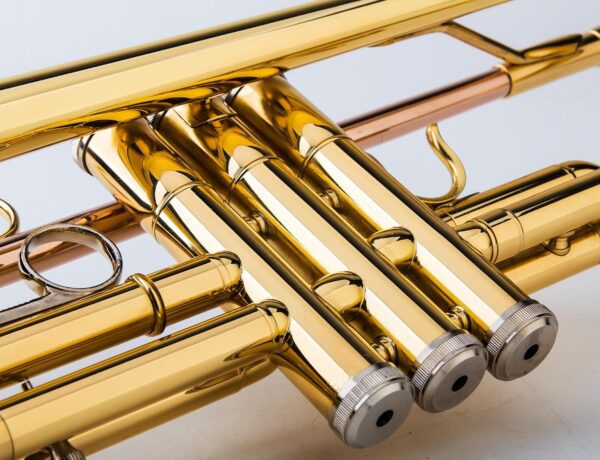 Glory Bb Trumpet - Trumpets for Beginner or Advanced Student with Case, pair of gloves-Gold - For Sale - Price - Image 9