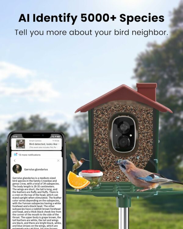 Bird Feeder with Camera Outdoor Solar: Smart Bird Feeder with Camera Wireless - Bird Houses for Outside Garden - 2K Video Bird Feeder Camera Wireless Live AI Recognition Visible Window Auto Capture - For Sale - Price - Image 3