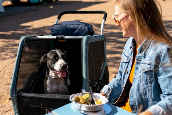 Burley Bark Ranger™ Pet Bike Trailer - For Sale - Price - Image 16