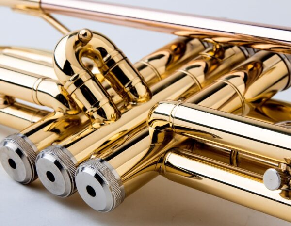 Glory Bb Trumpet - Trumpets for Beginner or Advanced Student with Case, pair of gloves-Gold - For Sale - Price - Image 8