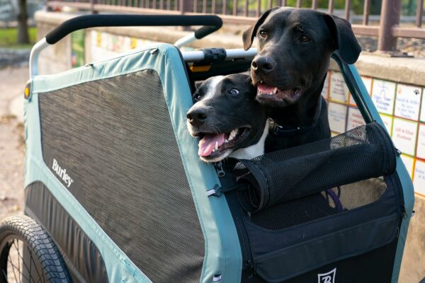 Burley Bark Ranger™ Pet Bike Trailer - For Sale - Price - Image 4