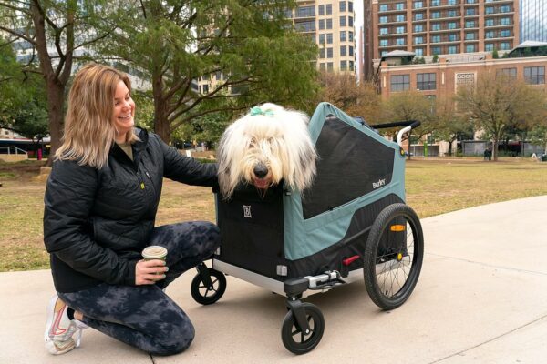 Burley Bark Ranger™ Pet Bike Trailer - For Sale - Price - Image 3