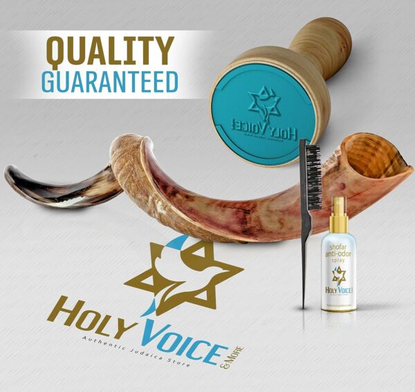 Kosher Kudu Shofar Horn from Israel – Traditional Half-Polished Yemeni Shofar Includes Carrying Bag, Brush and Blowing Guide - Holy Voice Easy Blowing Ancient Musical Instrument (41"-42") - For Sale - Price - Image 6